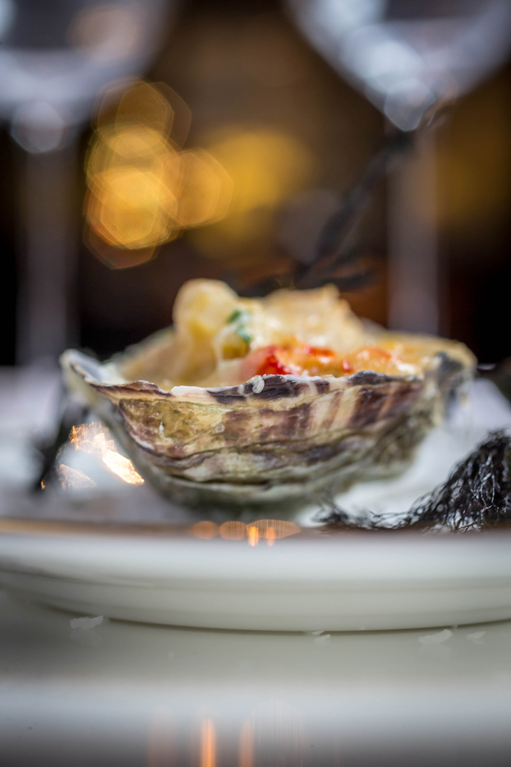 Seafood dish on white plate