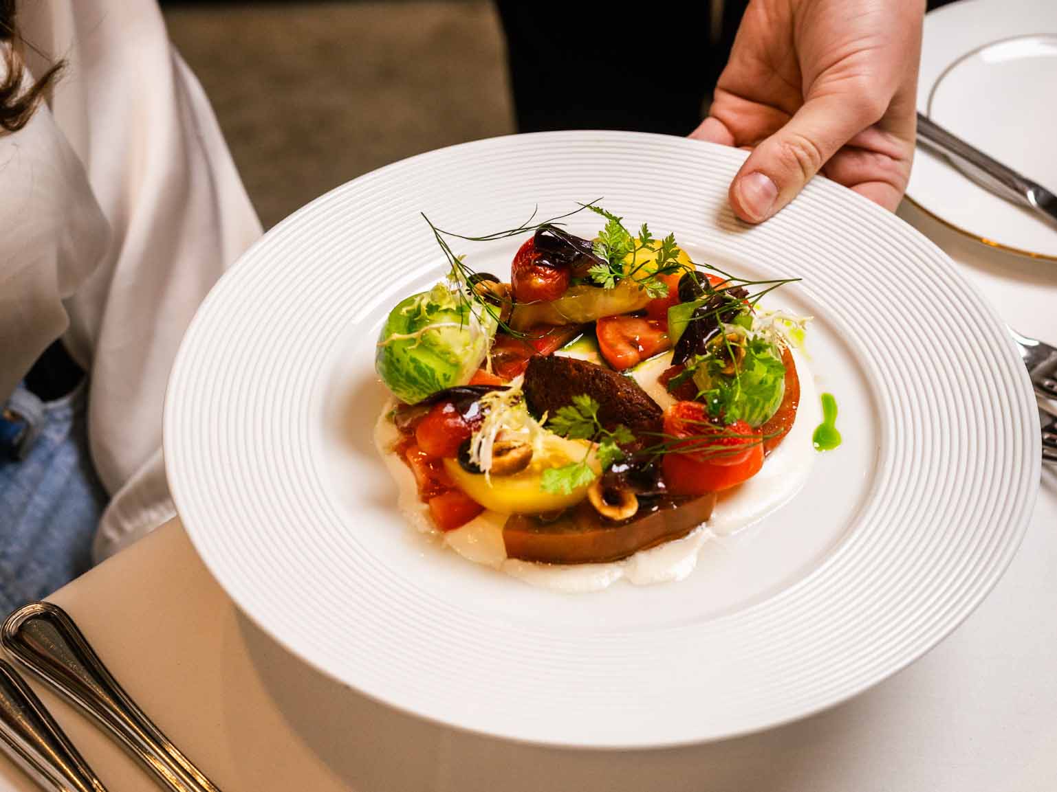 Heirloom tomato starter 3