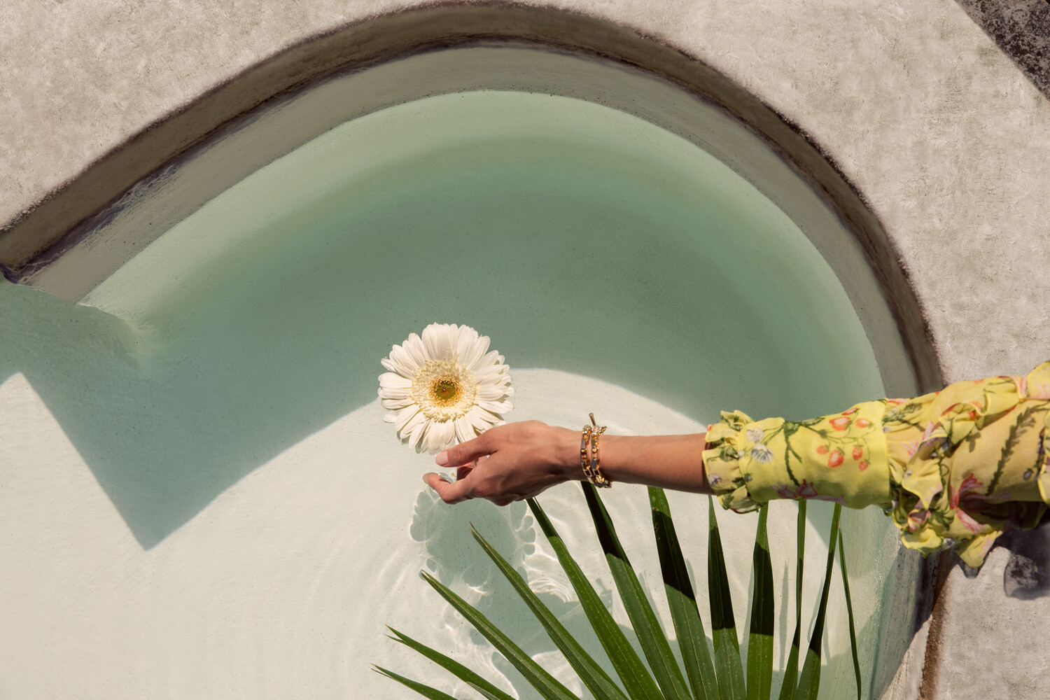 Woman's hand holding flower